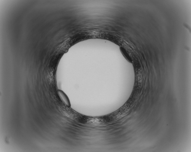 X0000096670611200803041222