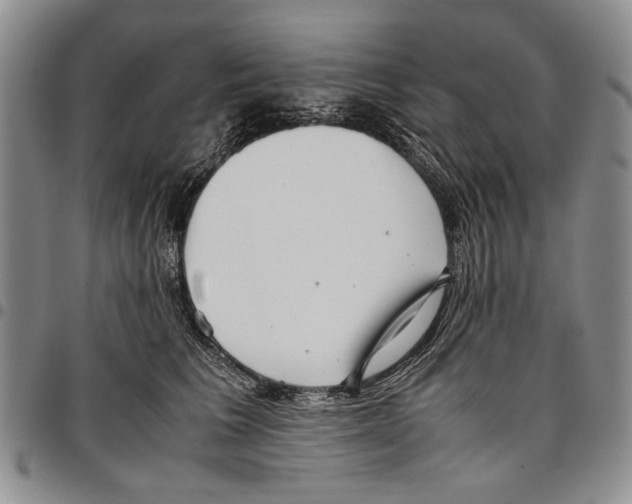X0000096670613200803041222