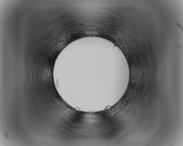 X0000096670614200803041222