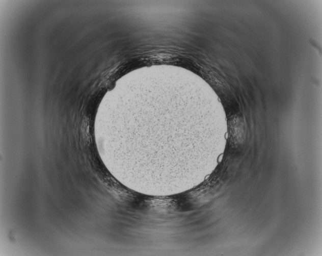X0000096670615200803041222