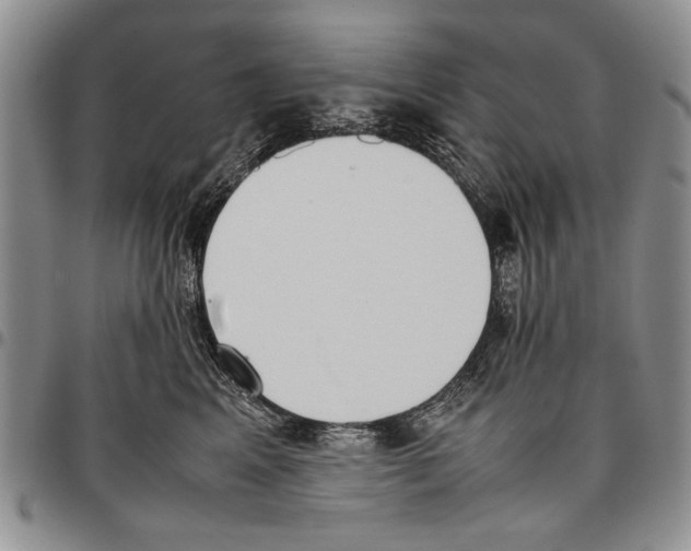X0000096670617200803041222