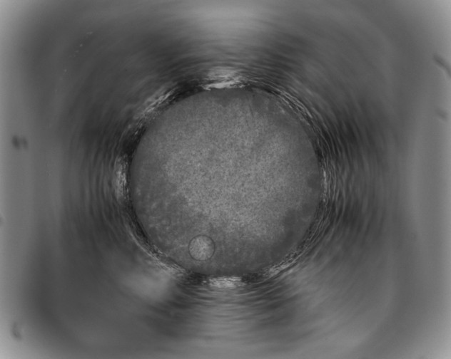 X0000096670618200803041222