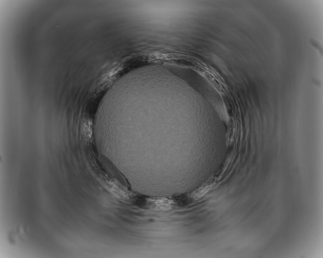 X0000096670621200803041221