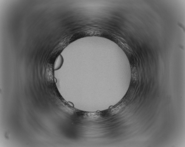 X0000096670622200803041221