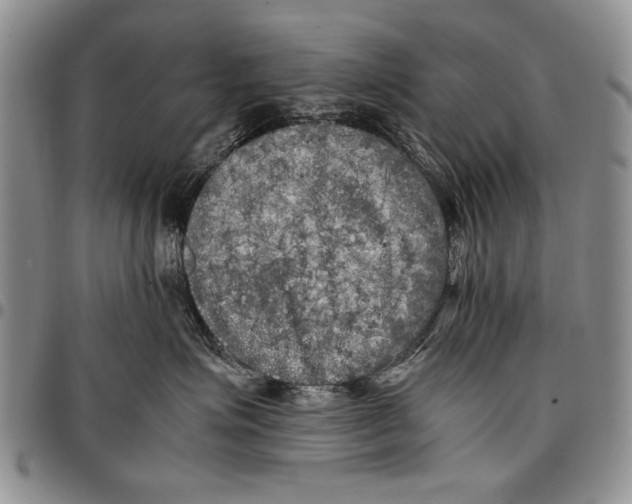 X0000096670623200803041221
