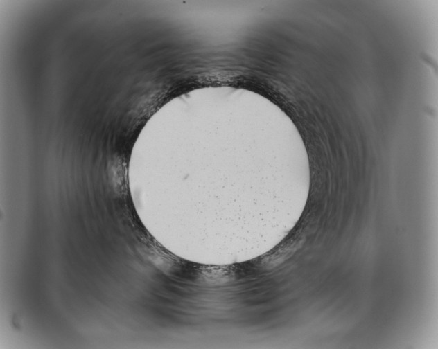 X0000096670624200803041221