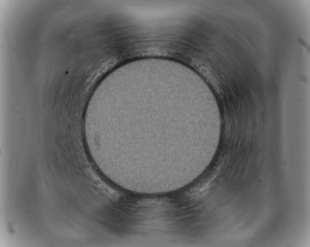 X0000096670625200803041221