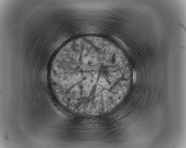 X0000096670627200803041221