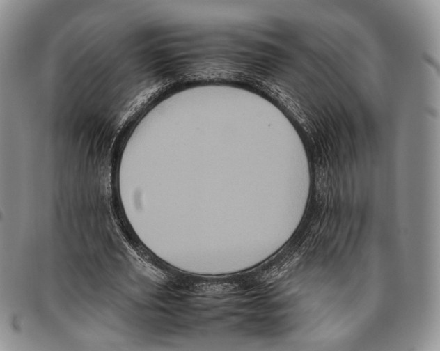 X0000096670629200803041221