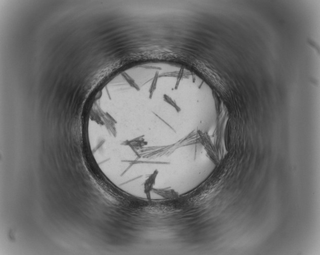 X0000096670630200803041221