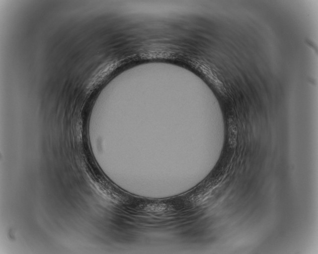 X0000096670631200803041221
