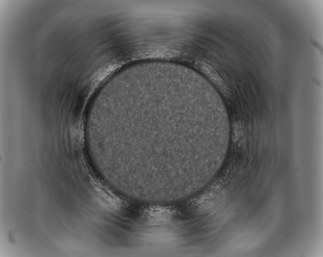 X0000096670632200803041221