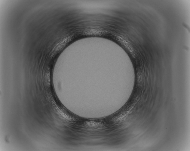 X0000096670633200803041221