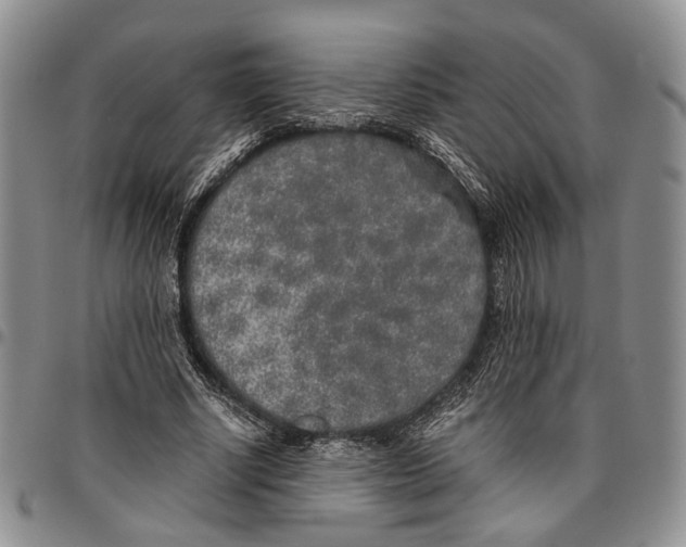 X0000096670634200803041221