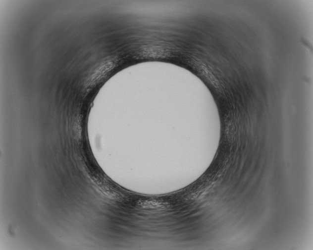 X0000096670635200803041221