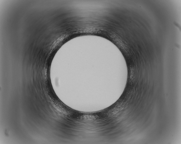 X0000096670636200803041221