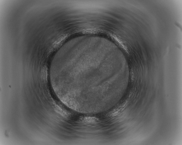 X0000096670637200803041221