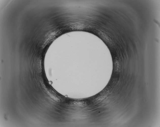 X0000096670638200803041221