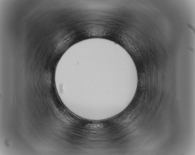 X0000096670639200803041221