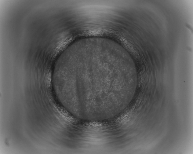 X0000096670640200803041221