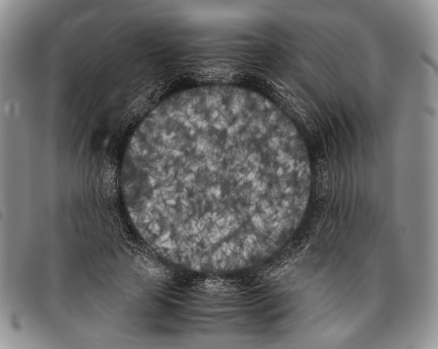 X0000096670641200803041221