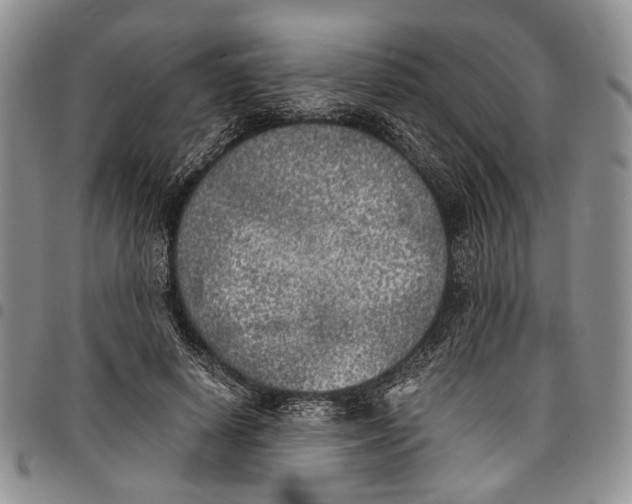 X0000096670642200803041221