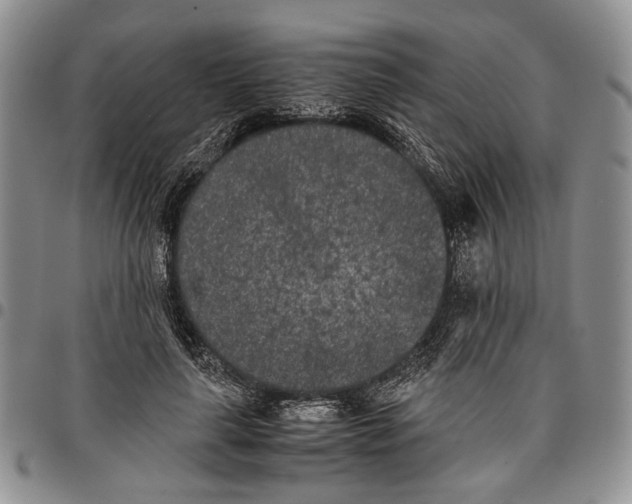 X0000096670643200803041221