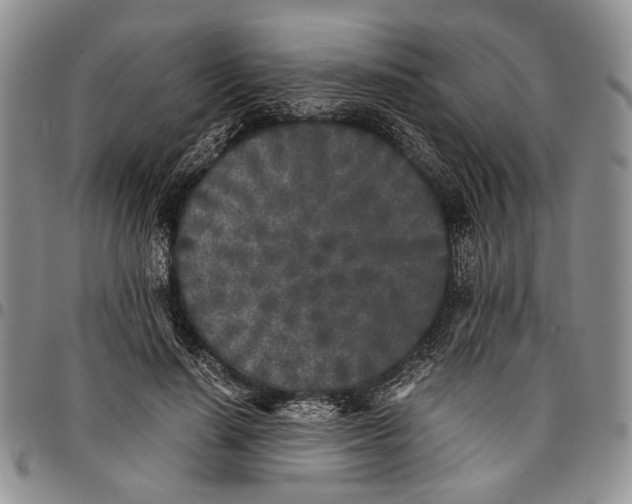 X0000096670644200803041221