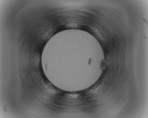 X0000096670645200803041221