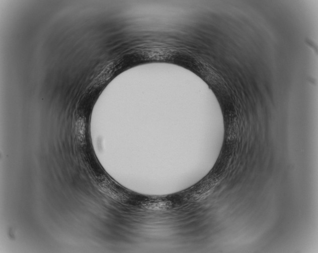 X0000096670646200803041221
