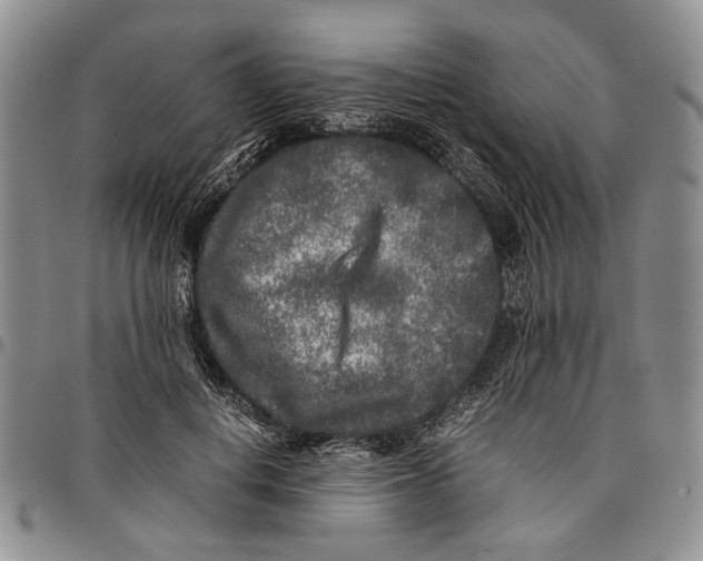 X0000096670648200803041221