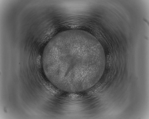 X0000096670650200803041221