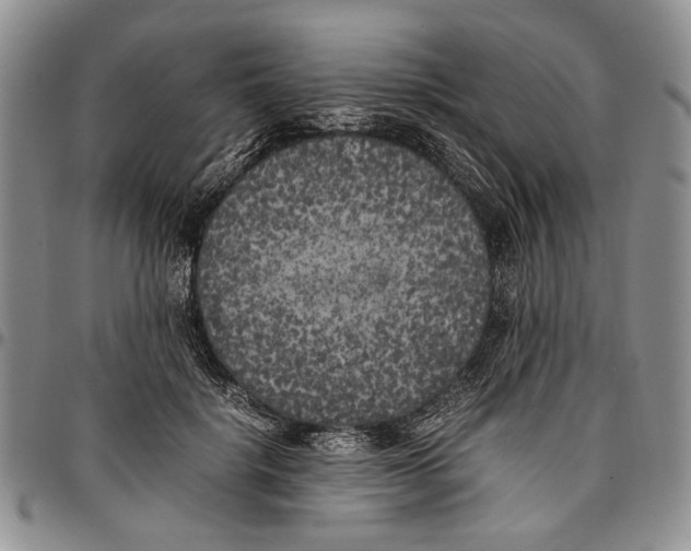 X0000096670652200803041221