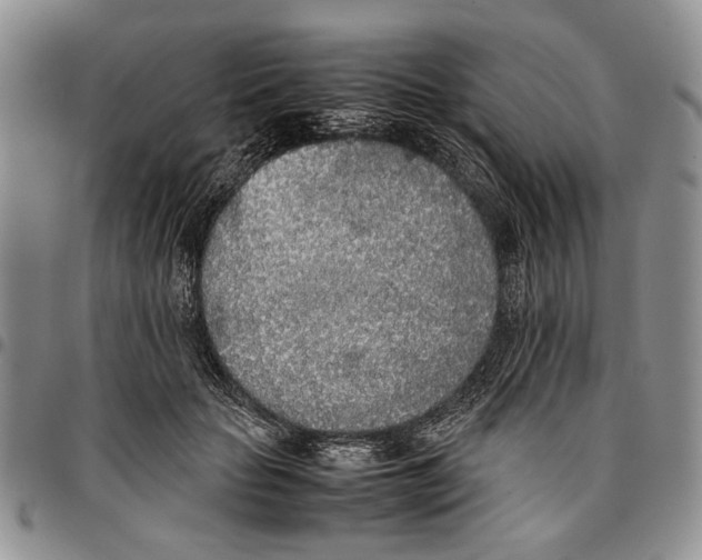 X0000096670653200803041221