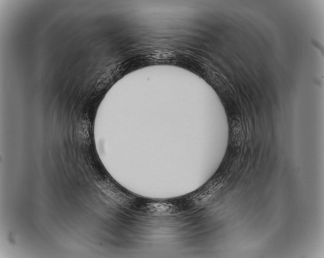X0000096670654200803041221