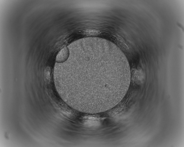 X0000096670655200803041221