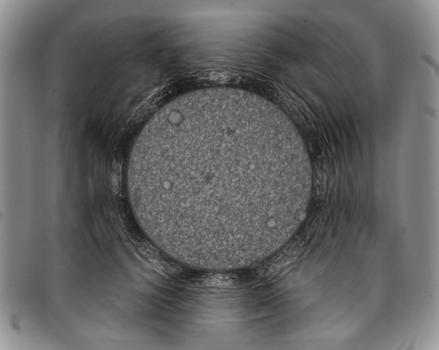 X0000096670656200803041221