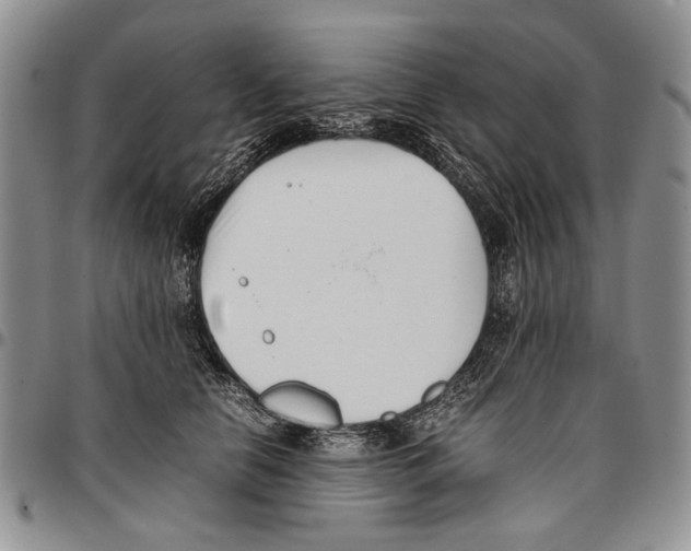 X0000096670658200803041221