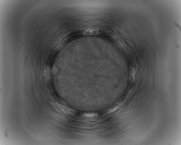 X0000096670659200803041221