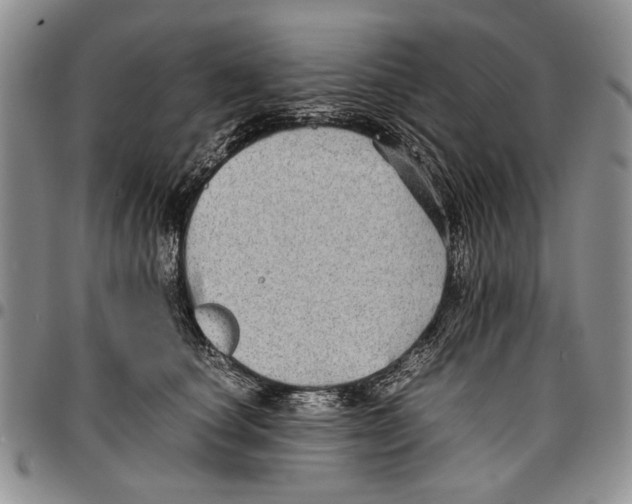 X0000096670660200803041221