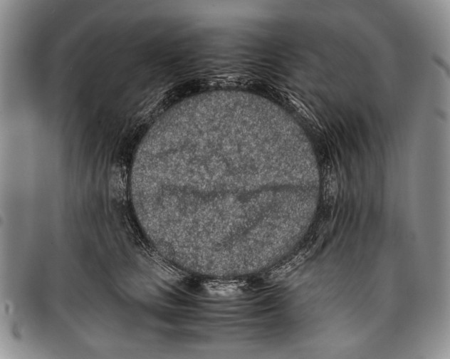 X0000096670661200803041221