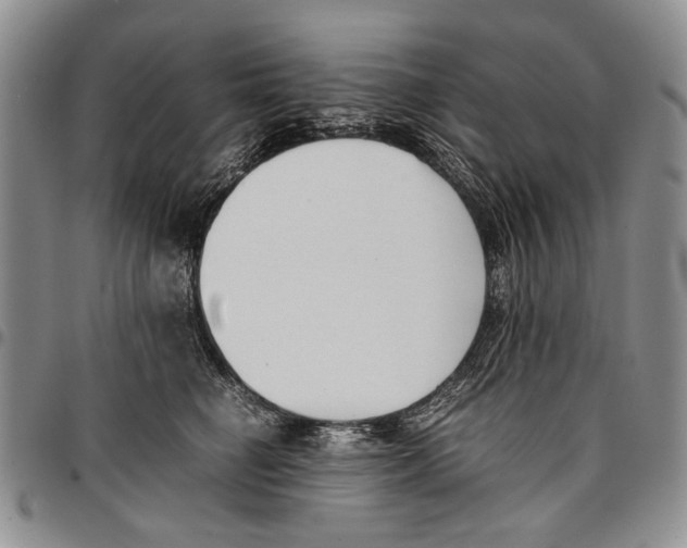 X0000096670662200803041221