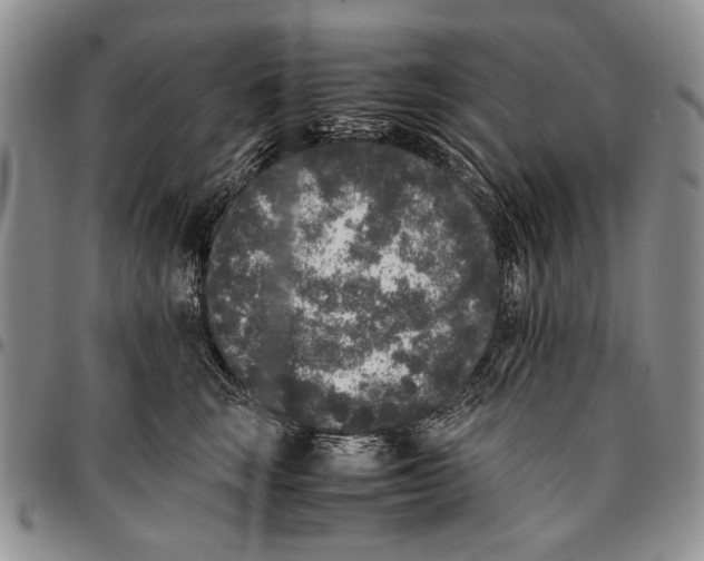 X0000096670663200803041221