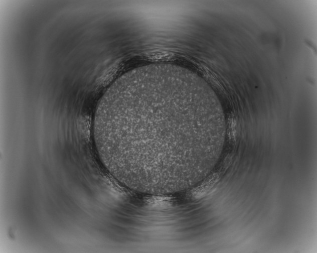 X0000096670664200803041221