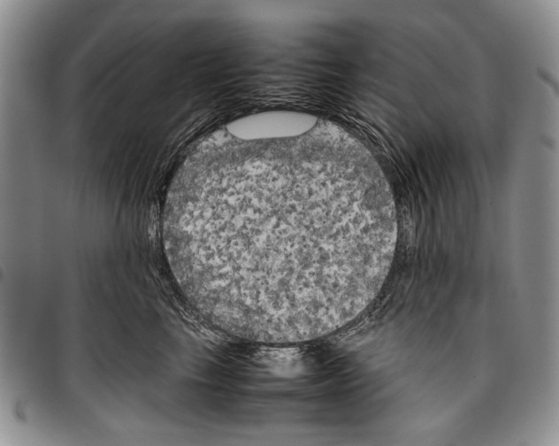 X0000096670665200803041221