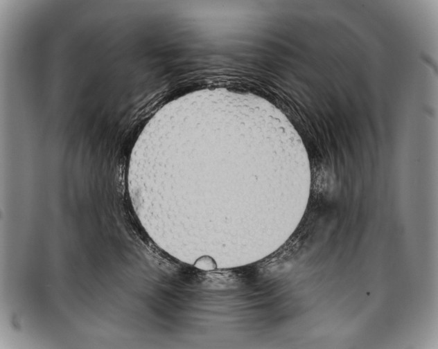 X0000096670666200803041221