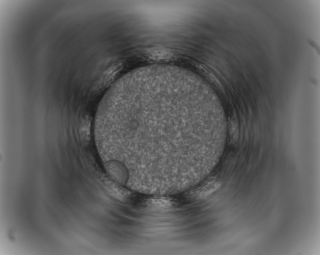X0000096670668200803041221