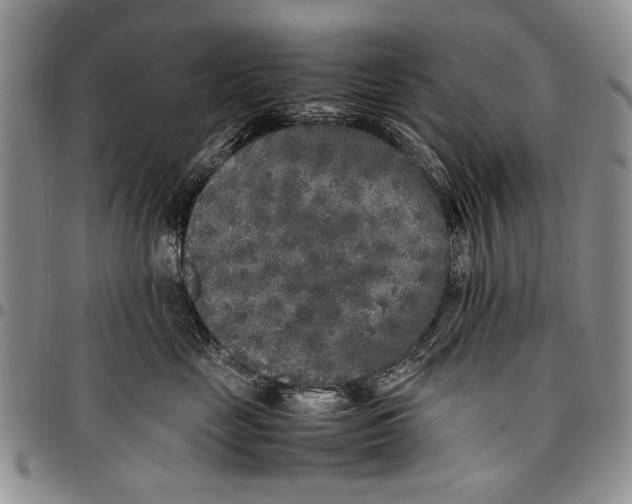 X0000096670669200803041221