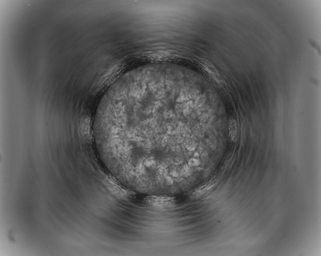 X0000096670670200803041221