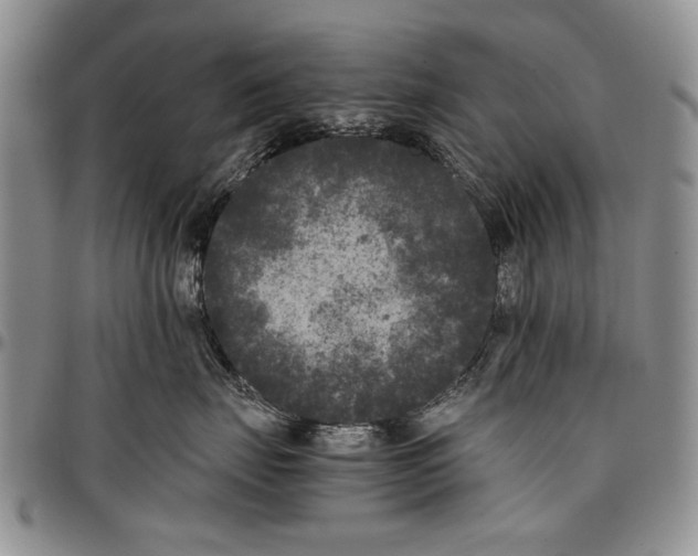 X0000096670671200803041221